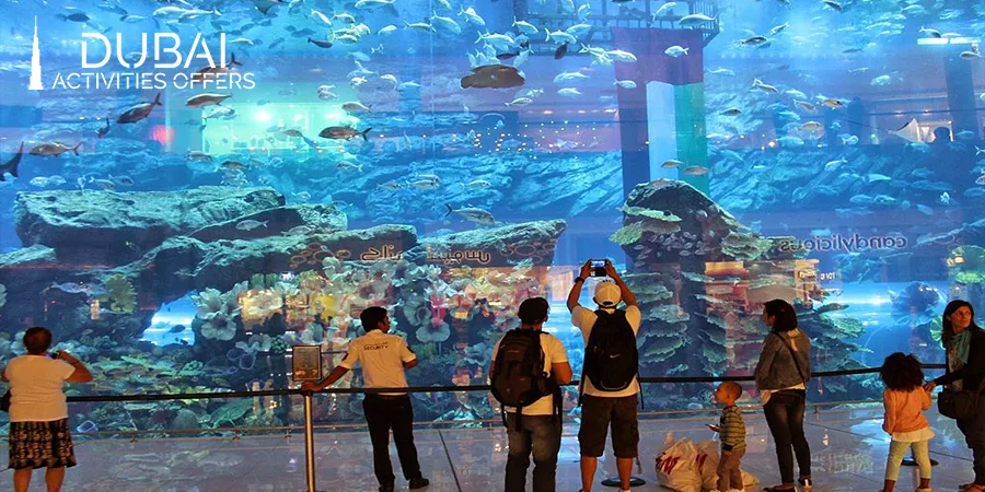 Facilities at the Dubai Mall Aquarium