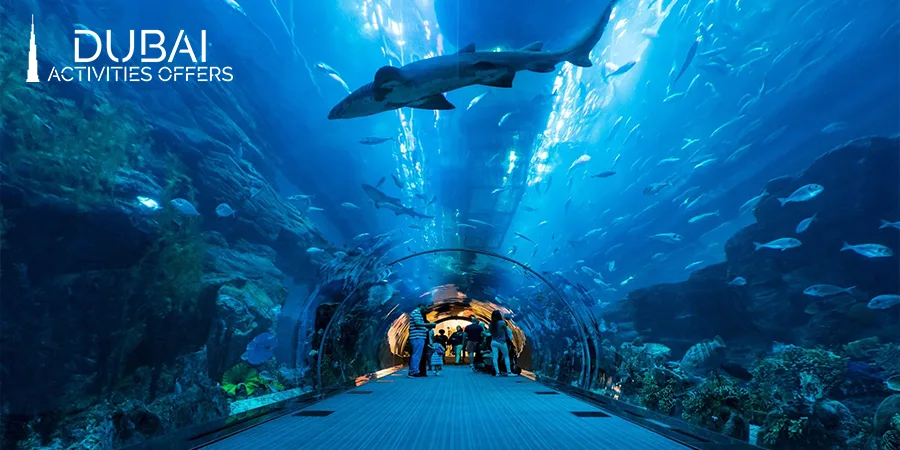 Features of the Dubai Mall Aquarium