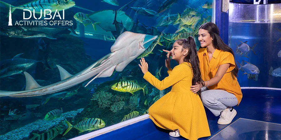 Frequently asked questions about Dubai Mall Aquarium