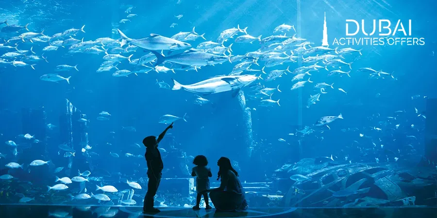The Lost Chambers Aquarium in Dubai