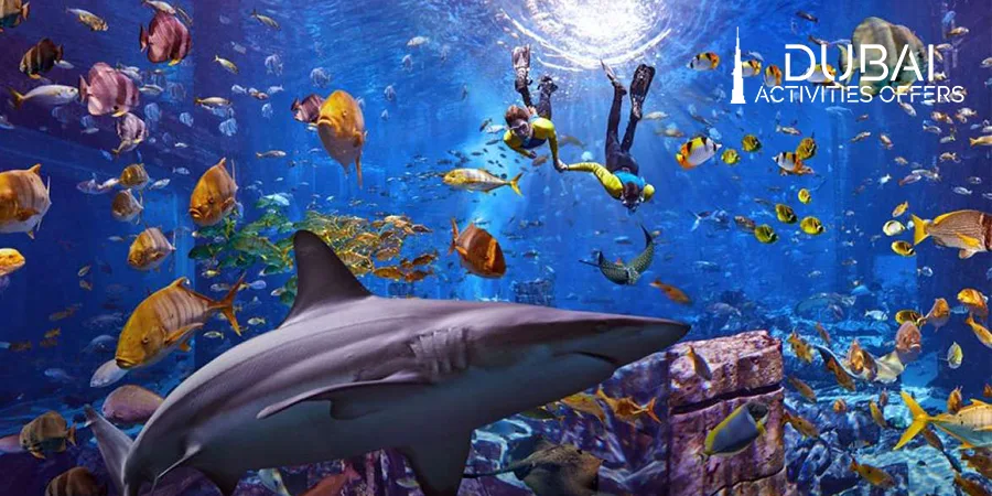 feature of The Lost Chambers Aquarium in Dubai