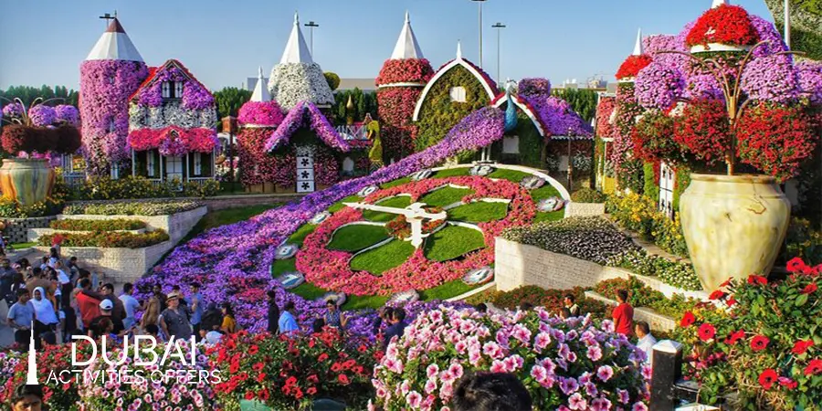 Different section in Miracle Garden
