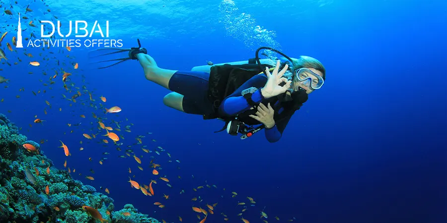 Where can we buy Scuba Diving Tour ticket
