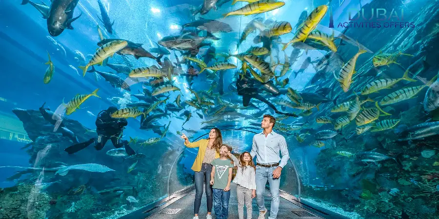 Aquarium and The Underwater Zoo