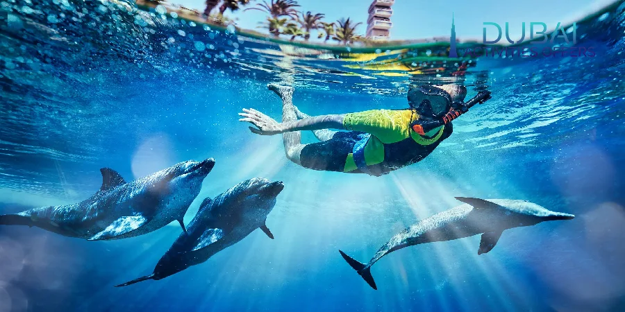 Swim with the dolphins in Atlantis